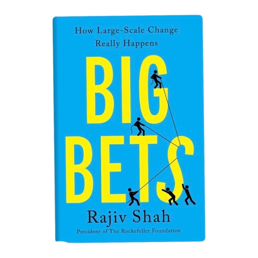 Big Bets: How Large-Scale Change Really Happens